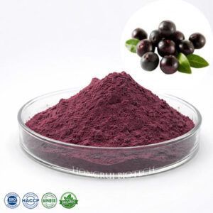 Acai Berry Extract