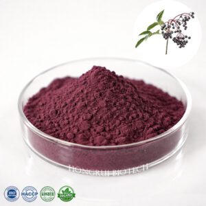 Black Elderberry Extract
