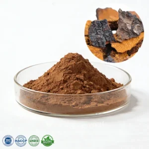Chaga Extract