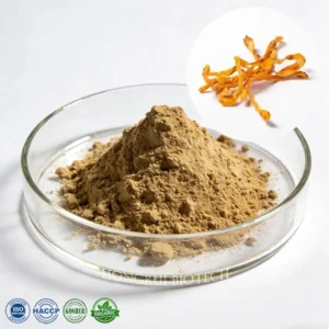 Cordyceps militaris Extract