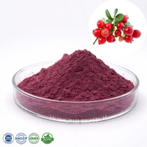 Cranberry Extract