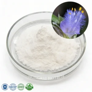 Cyanotis arachnoidea Extract - Beta Ecdysterone