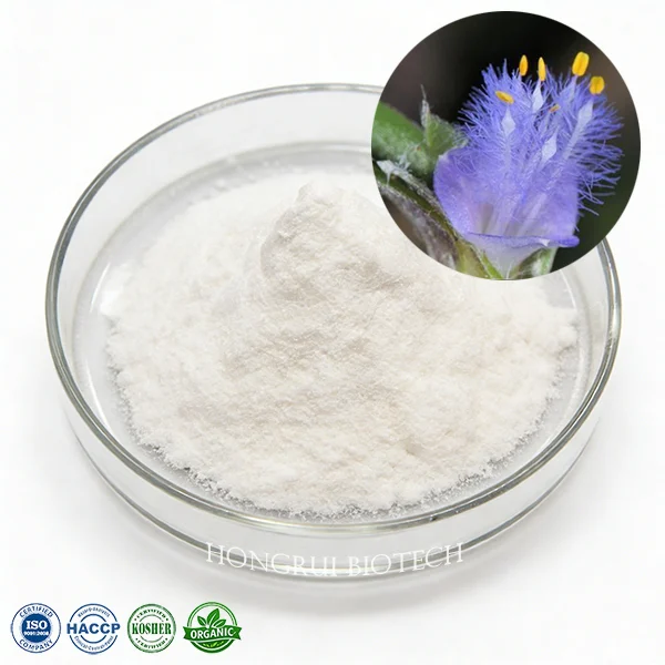 Cyanotis arachnoidea Extract - Beta Ecdysterone