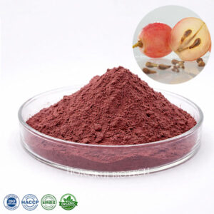 Grape Seed Extract