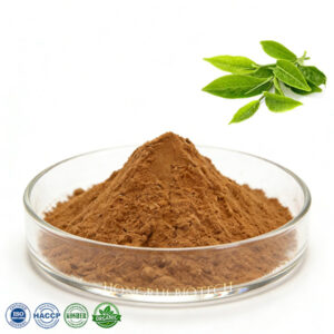Green Tea Extract