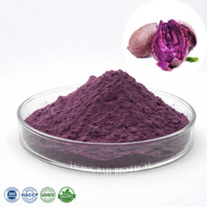 Purple Potato Extract