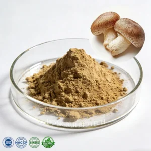 Shiitake Mushroom Extract