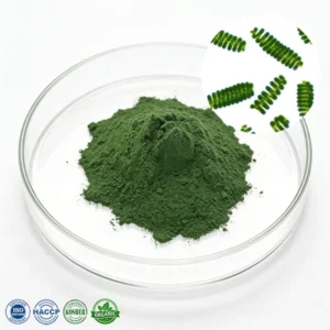 Spirulina Powder