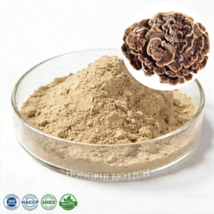 Turkey Tail Mushroom Extract