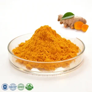 Turmeric Extract