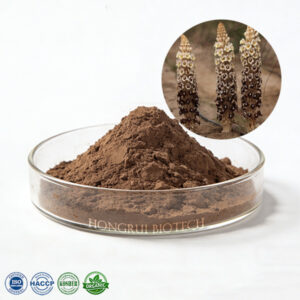 Cistanche Tubulosa Extract