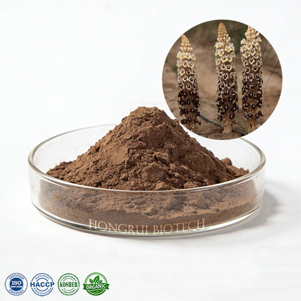 Cistanche Tubulosa Extract
